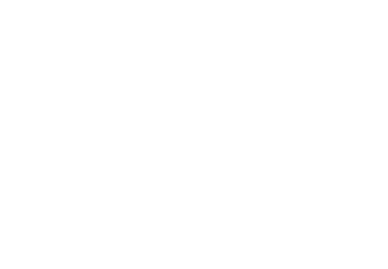 Item Level Gaming Logo